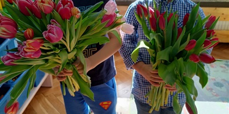 Powiększ grafikę: Dwóch chłopców trzyma bukiety tulipanów
