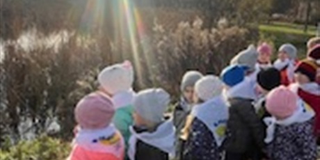 Powiększ grafikę: planeta-energii-655321.jpg