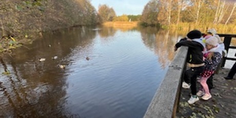 Powiększ grafikę: planeta-energii-655323.jpg