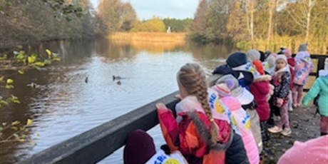 Powiększ grafikę: planeta-energii-655325.jpg