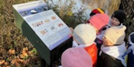 Powiększ grafikę: planeta-energii-655326.jpg